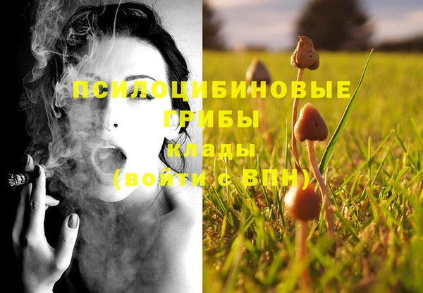 стафф Абдулино