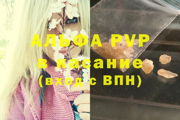 ГАЛЛЮЦИНОГЕННЫЕ ГРИБЫ Абаза