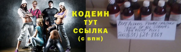 ГАЛЛЮЦИНОГЕННЫЕ ГРИБЫ Абаза