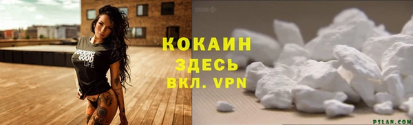 ГАЛЛЮЦИНОГЕННЫЕ ГРИБЫ Абаза