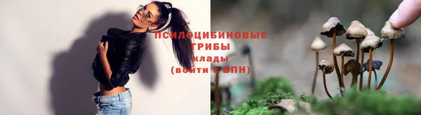ГАЛЛЮЦИНОГЕННЫЕ ГРИБЫ Абаза