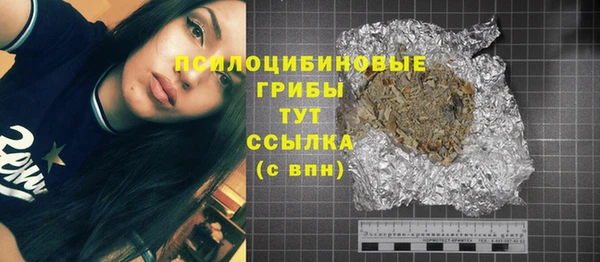 ГАЛЛЮЦИНОГЕННЫЕ ГРИБЫ Абинск