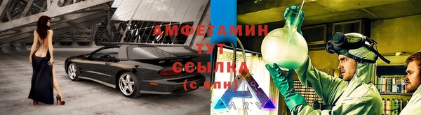 ГАЛЛЮЦИНОГЕННЫЕ ГРИБЫ Абаза