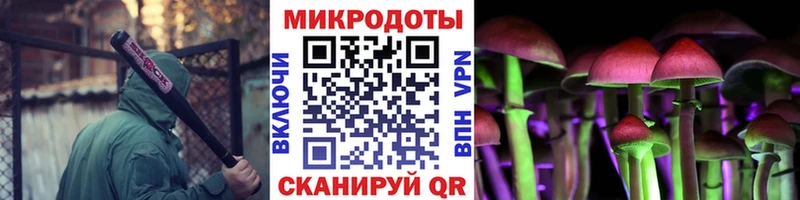 нарко площадка официальный сайт купить цена Альметьевск Псилоцибиновые грибы Psilocybe